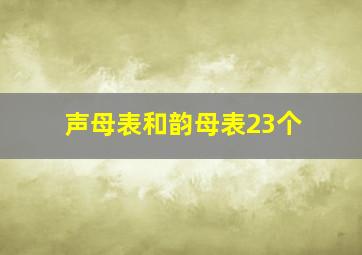 声母表和韵母表23个