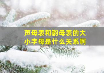 声母表和韵母表的大小字母是什么关系啊