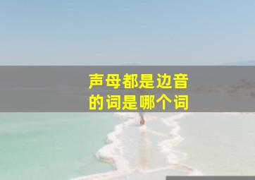 声母都是边音的词是哪个词