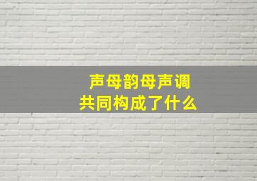 声母韵母声调共同构成了什么