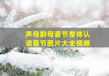 声母韵母音节整体认读音节图片大全视频