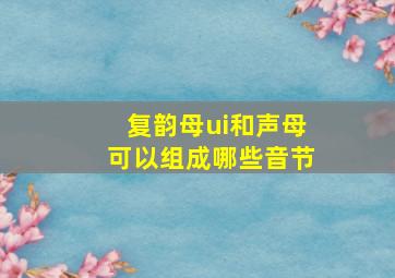 复韵母ui和声母可以组成哪些音节