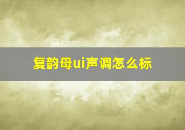 复韵母ui声调怎么标