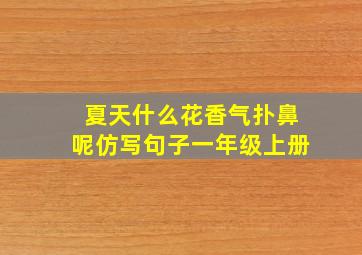 夏天什么花香气扑鼻呢仿写句子一年级上册