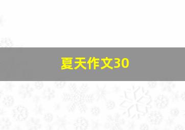 夏天作文30