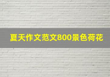 夏天作文范文800景色荷花