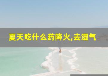 夏天吃什么药降火,去湿气