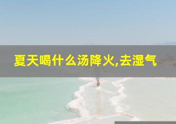 夏天喝什么汤降火,去湿气