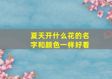 夏天开什么花的名字和颜色一样好看