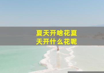 夏天开啥花夏天开什么花呢