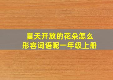 夏天开放的花朵怎么形容词语呢一年级上册