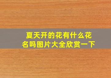 夏天开的花有什么花名吗图片大全欣赏一下