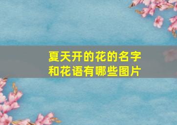 夏天开的花的名字和花语有哪些图片