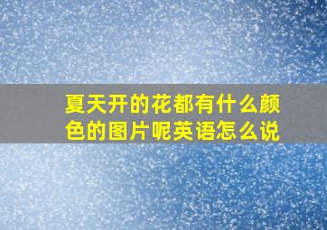 夏天开的花都有什么颜色的图片呢英语怎么说