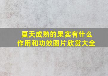 夏天成熟的果实有什么作用和功效图片欣赏大全