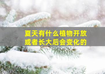 夏天有什么植物开放或者长大后会变化的