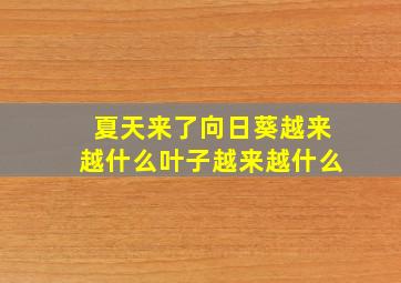 夏天来了向日葵越来越什么叶子越来越什么