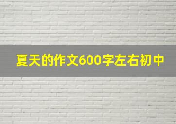 夏天的作文600字左右初中