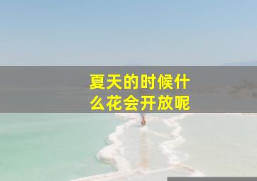 夏天的时候什么花会开放呢