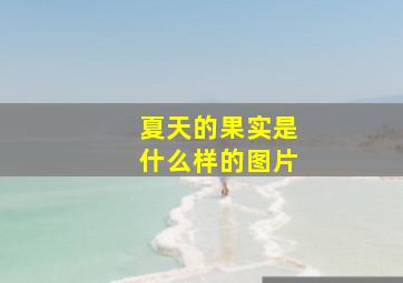 夏天的果实是什么样的图片