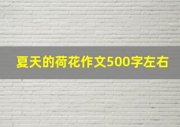 夏天的荷花作文500字左右