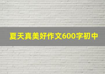 夏天真美好作文600字初中