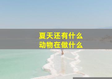 夏天还有什么动物在做什么