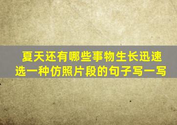 夏天还有哪些事物生长迅速选一种仿照片段的句子写一写