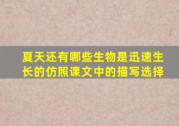 夏天还有哪些生物是迅速生长的仿照课文中的描写选择