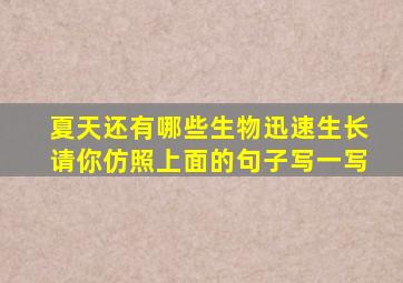 夏天还有哪些生物迅速生长请你仿照上面的句子写一写