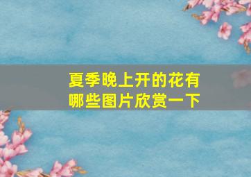 夏季晚上开的花有哪些图片欣赏一下