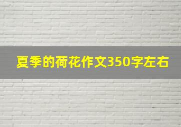 夏季的荷花作文350字左右