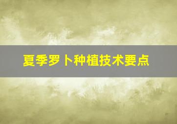 夏季罗卜种植技术要点