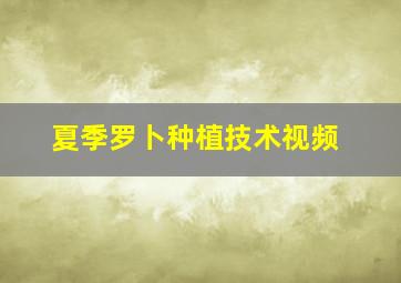 夏季罗卜种植技术视频