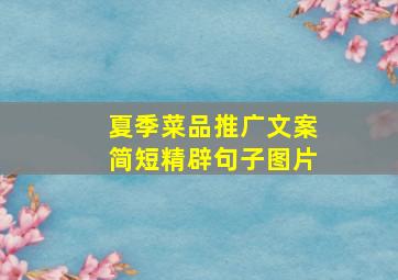 夏季菜品推广文案简短精辟句子图片