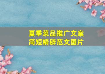 夏季菜品推广文案简短精辟范文图片