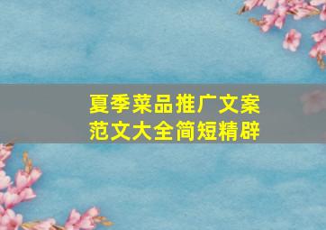 夏季菜品推广文案范文大全简短精辟