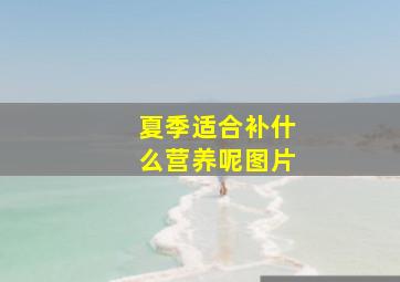 夏季适合补什么营养呢图片