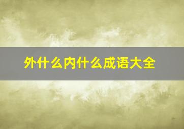 外什么内什么成语大全