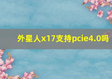 外星人x17支持pcie4.0吗