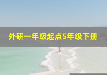 外研一年级起点5年级下册