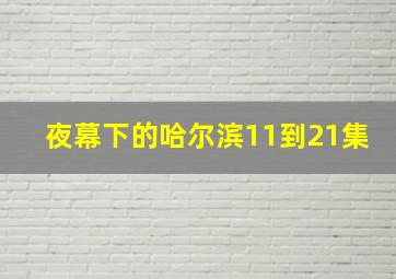 夜幕下的哈尔滨11到21集