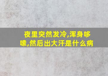 夜里突然发冷,浑身哆嗦,然后出大汗是什么病