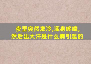 夜里突然发冷,浑身哆嗦,然后出大汗是什么病引起的