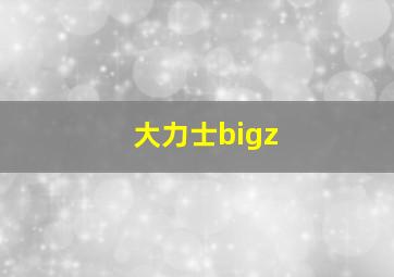 大力士bigz