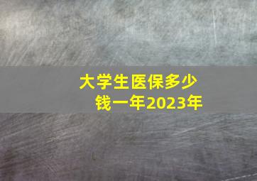 大学生医保多少钱一年2023年