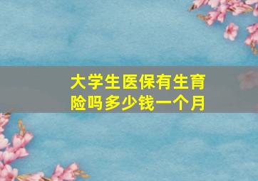 大学生医保有生育险吗多少钱一个月