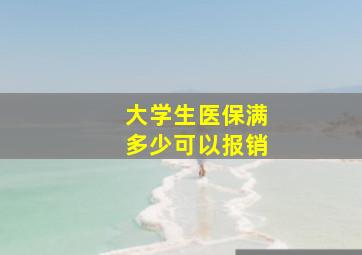 大学生医保满多少可以报销