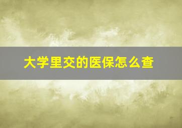 大学里交的医保怎么查