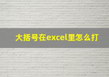 大括号在excel里怎么打